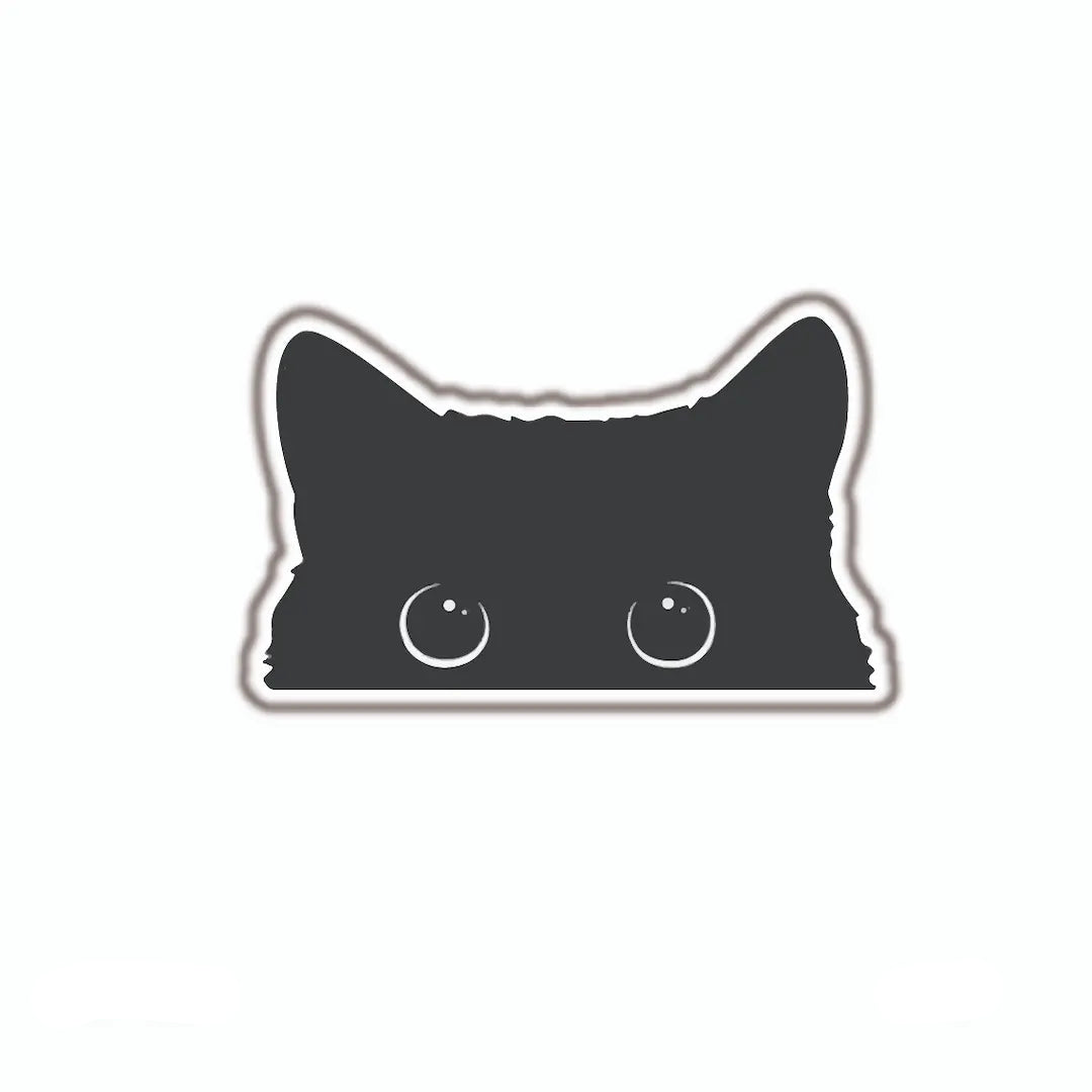 Catnip Joy