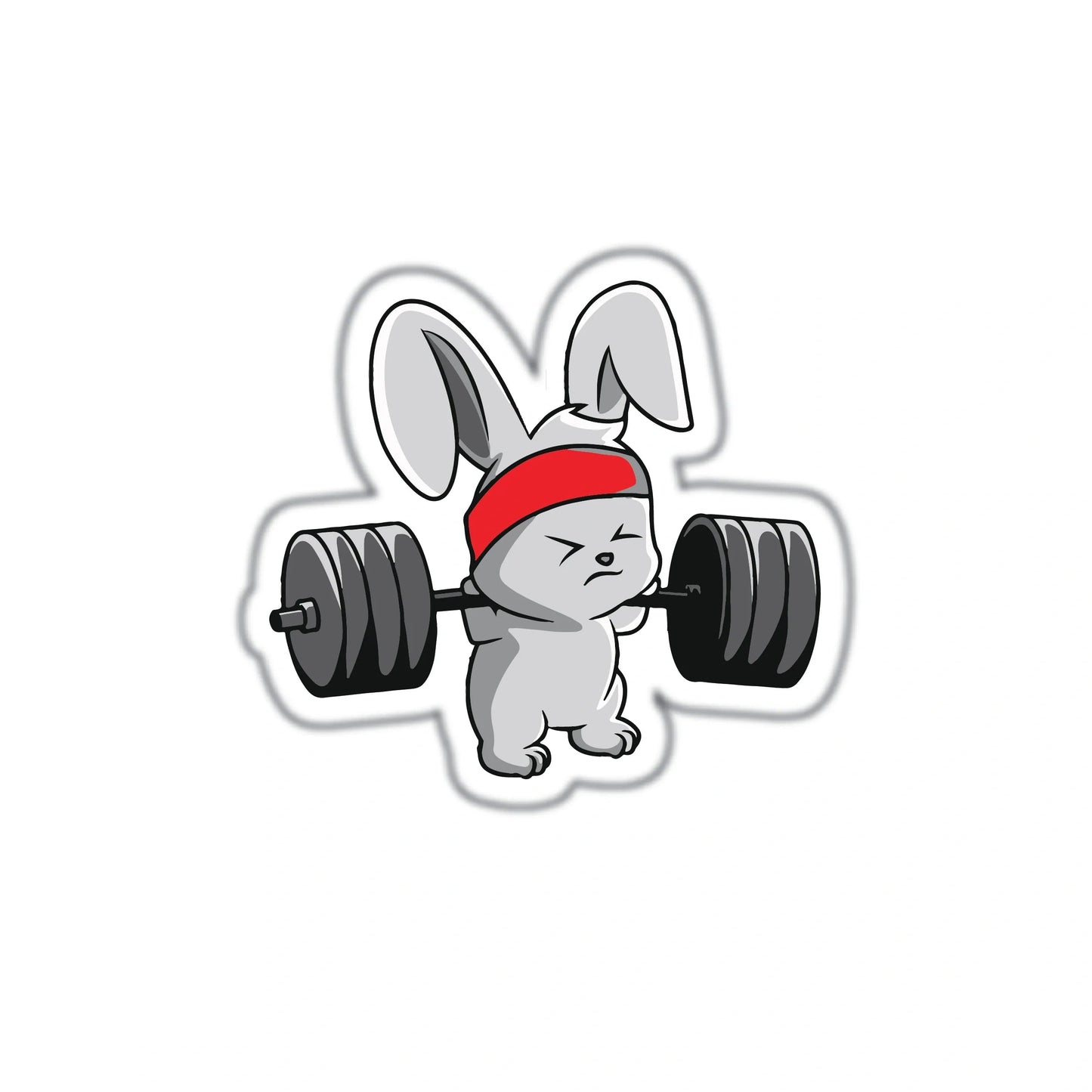 BUNNY TRAINING