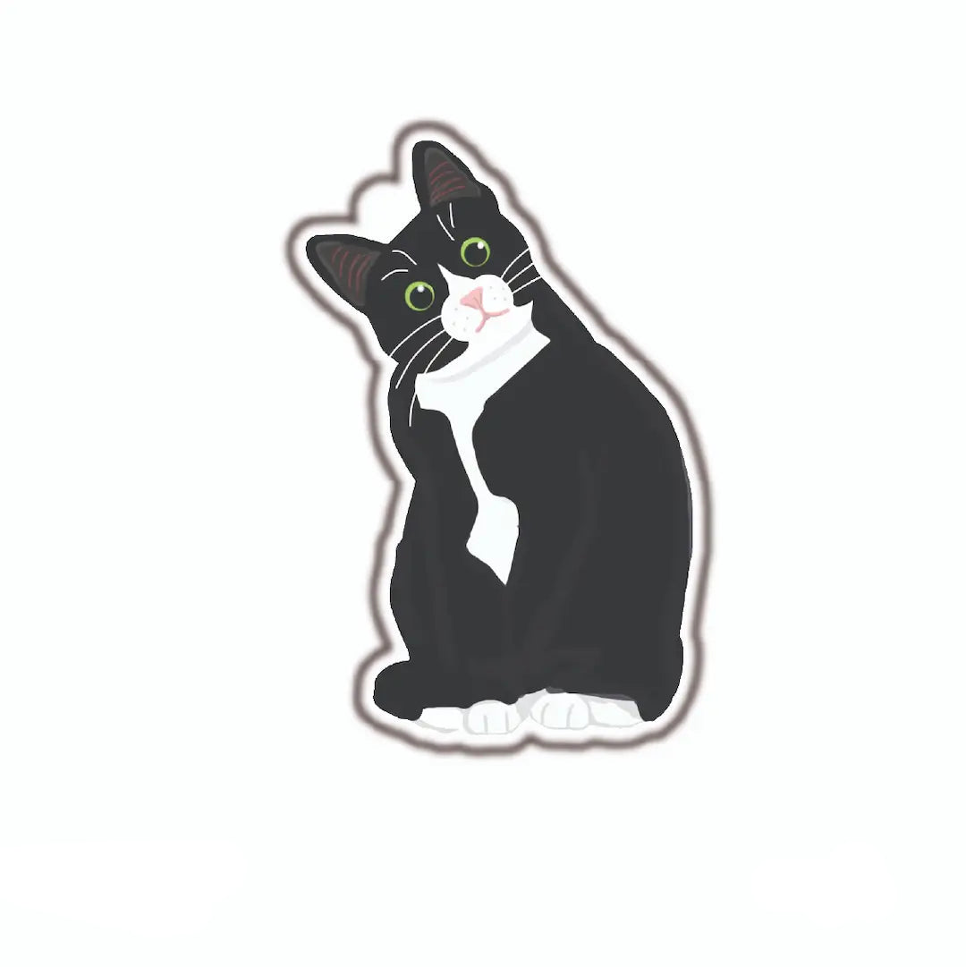 Minimalist Meows
