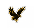 ALAHLY'S EAGLE