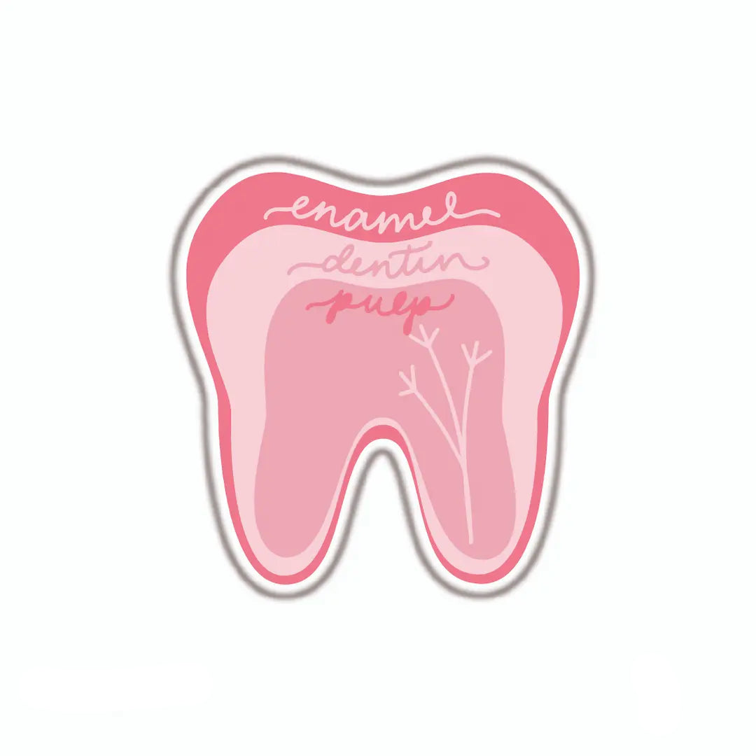 DENTISTRY [13]