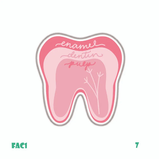 DENTISTRY [13]