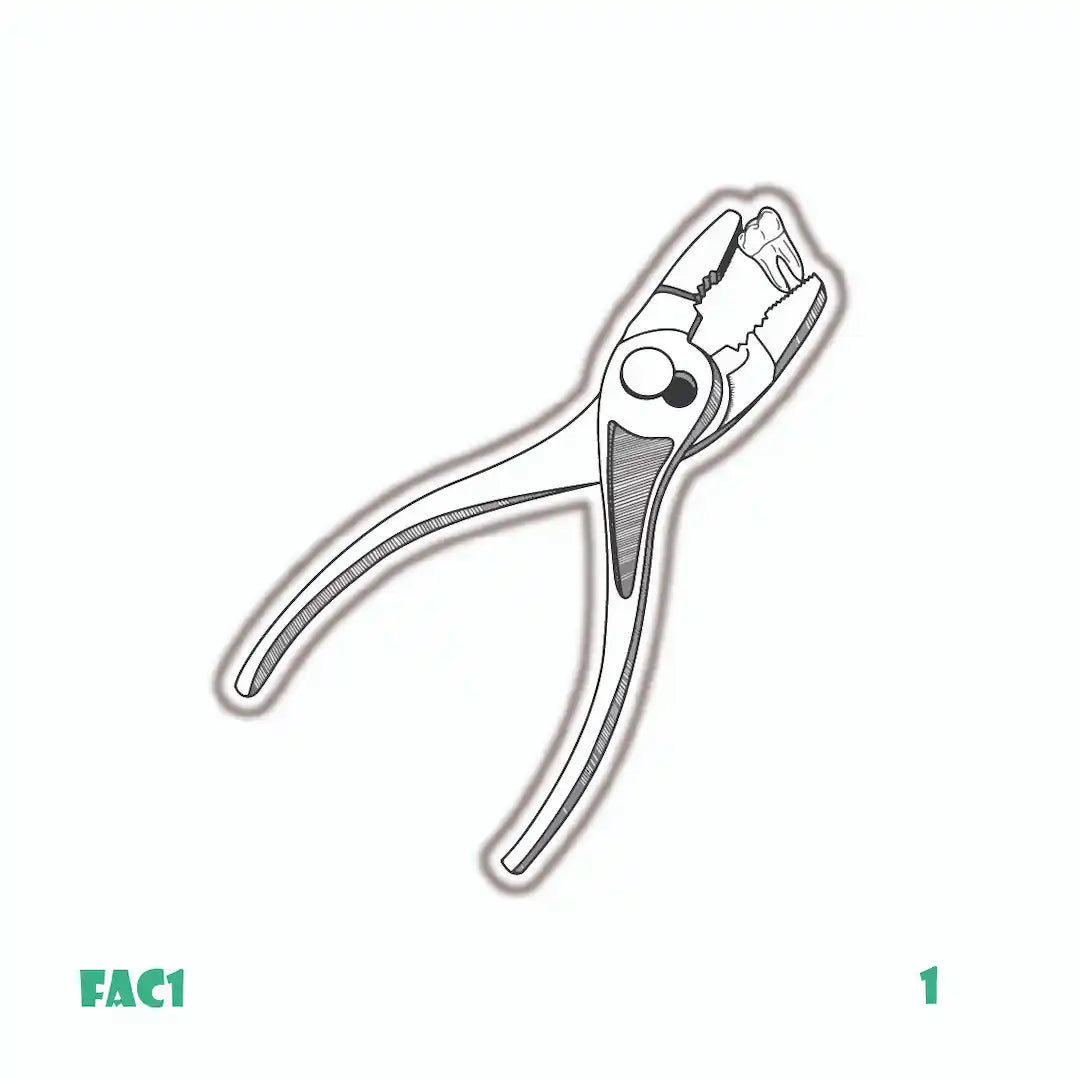 DENTISTRY [20]