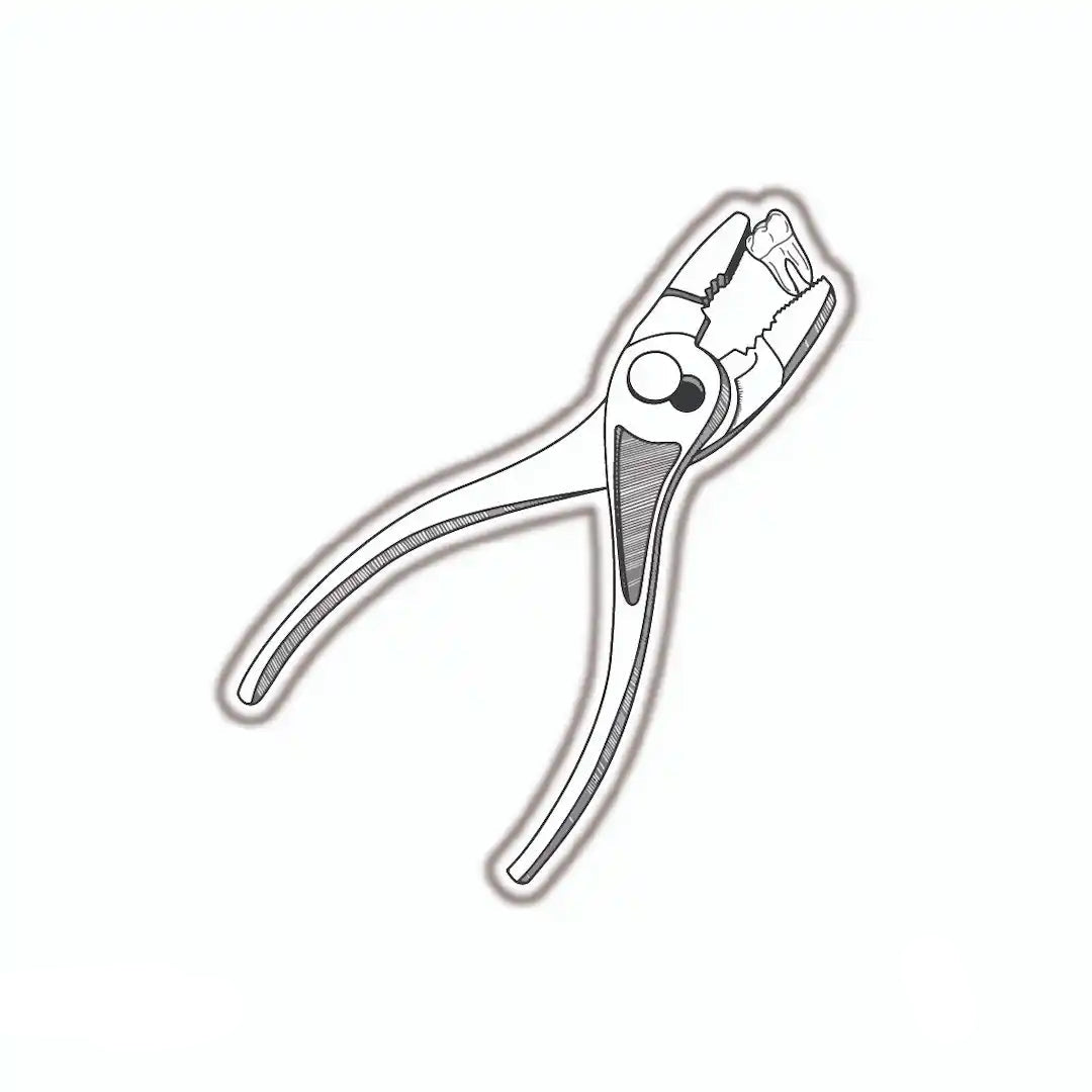 DENTISTRY [20]