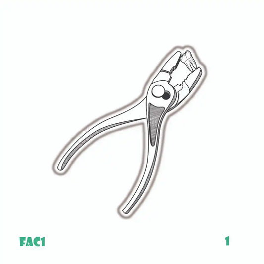 DENTISTRY [20]