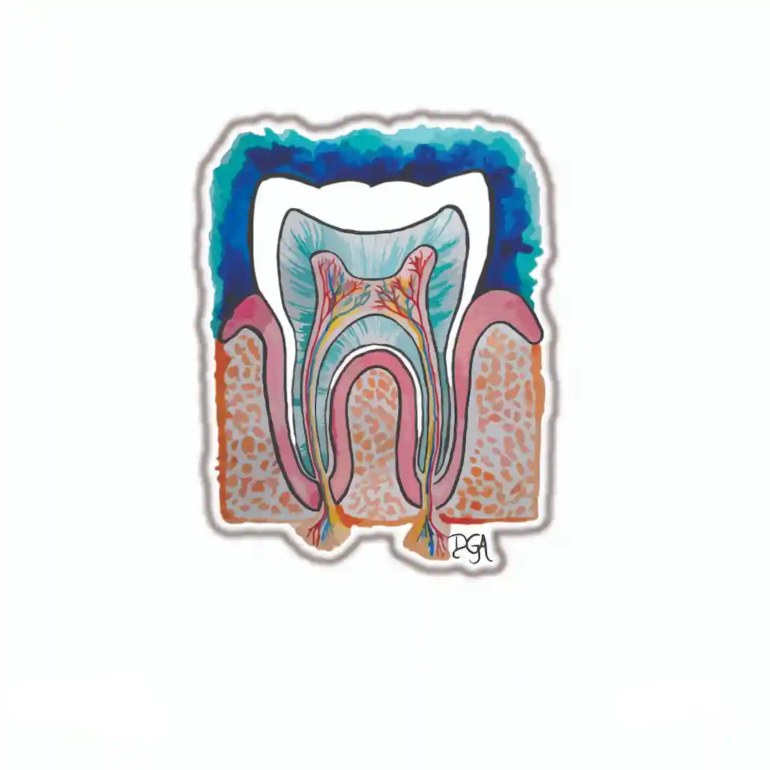 DENTISTRY [7]