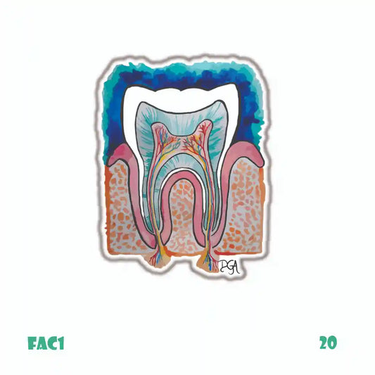 DENTISTRY [7]