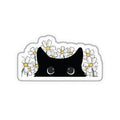 BLACK CAT