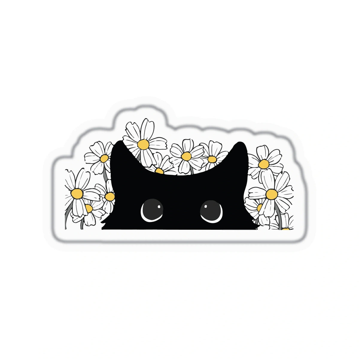 BLACK CAT