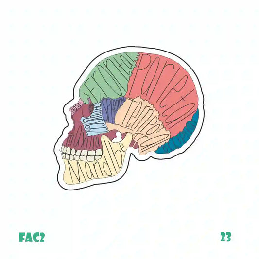 MEDICINE [3]