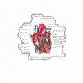 MEDICINE [7]