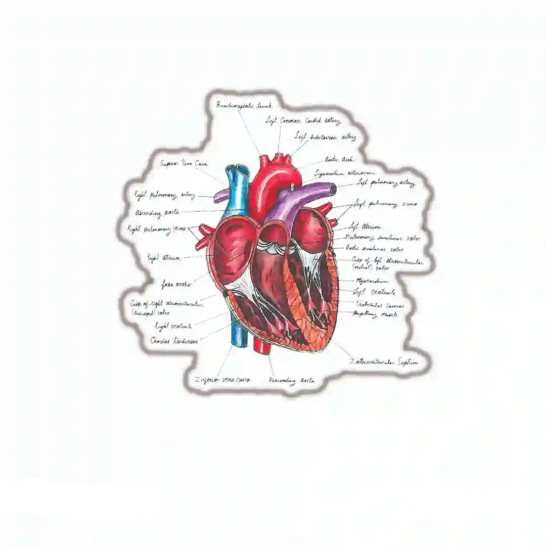 MEDICINE [7]