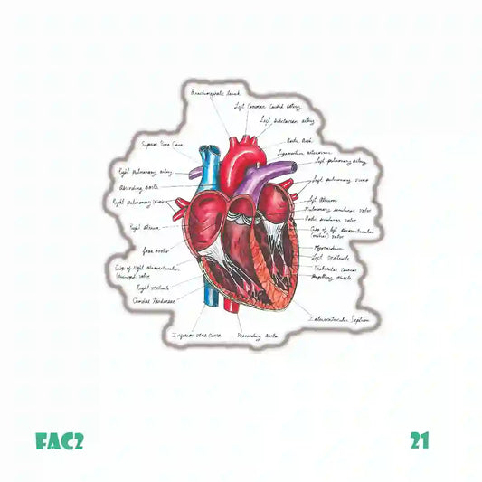 MEDICINE [7]