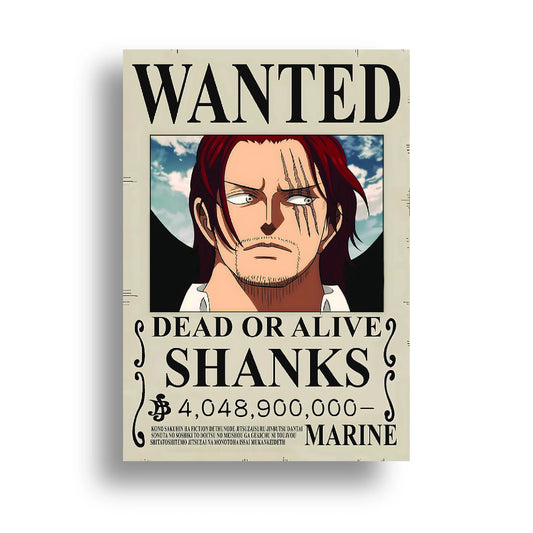 ONE PIECE (21)