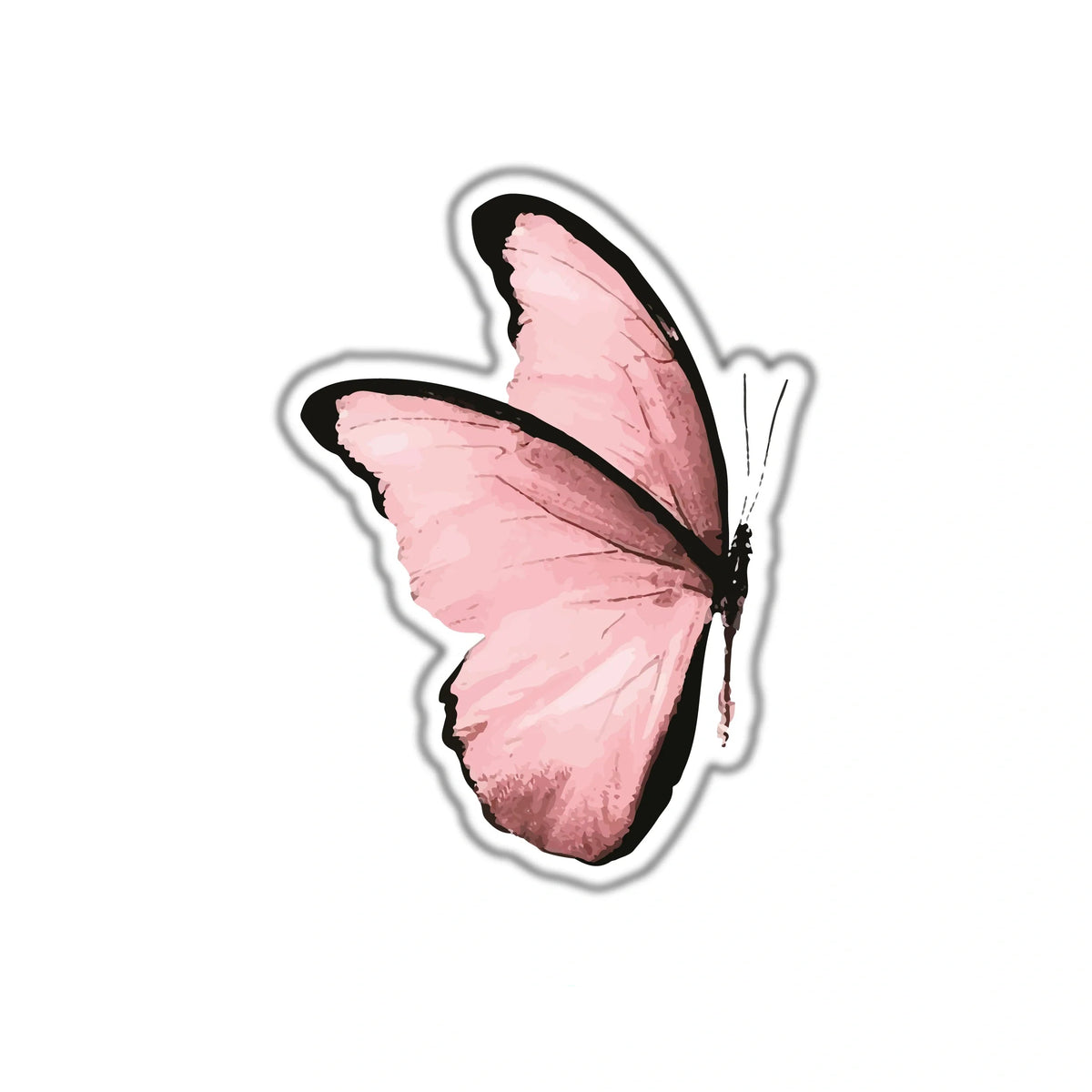 PINK BUTTERFLY