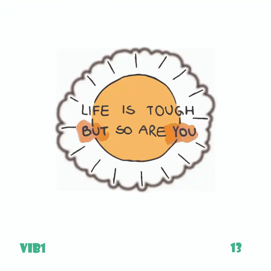 VIBES [18]